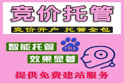 SEM服务托管实战案例：提升品牌知名度